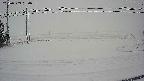 yotec5-20240303080054.jpg