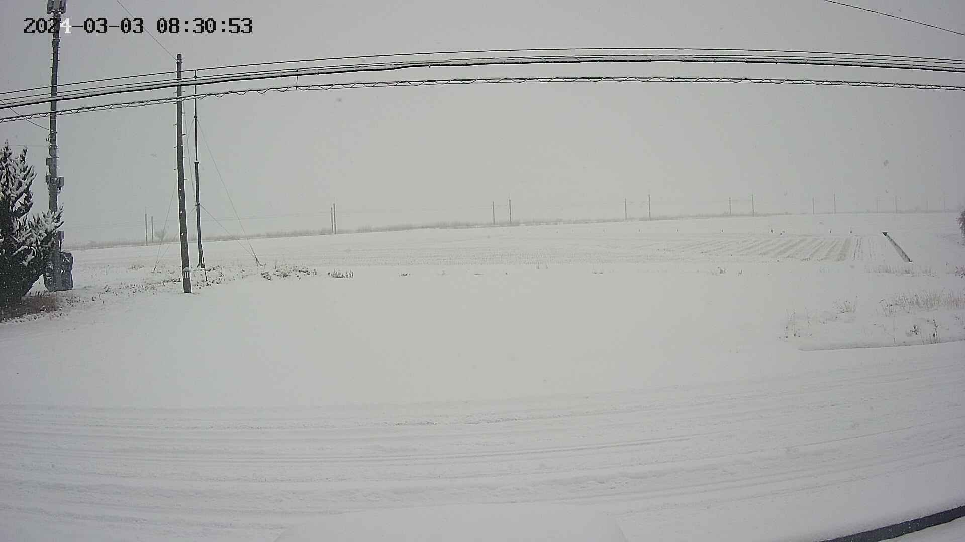 yotec5-20240303083054.jpg