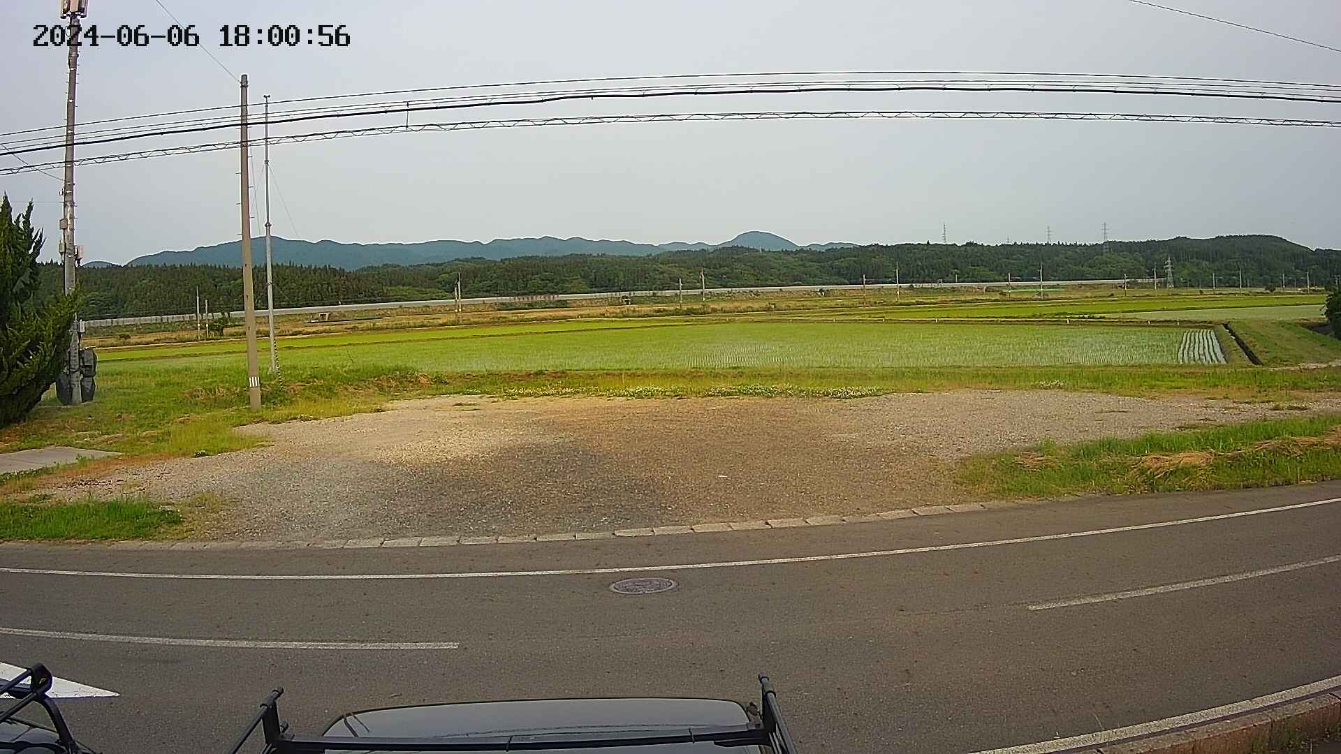 yotec5-20240606180057.jpg