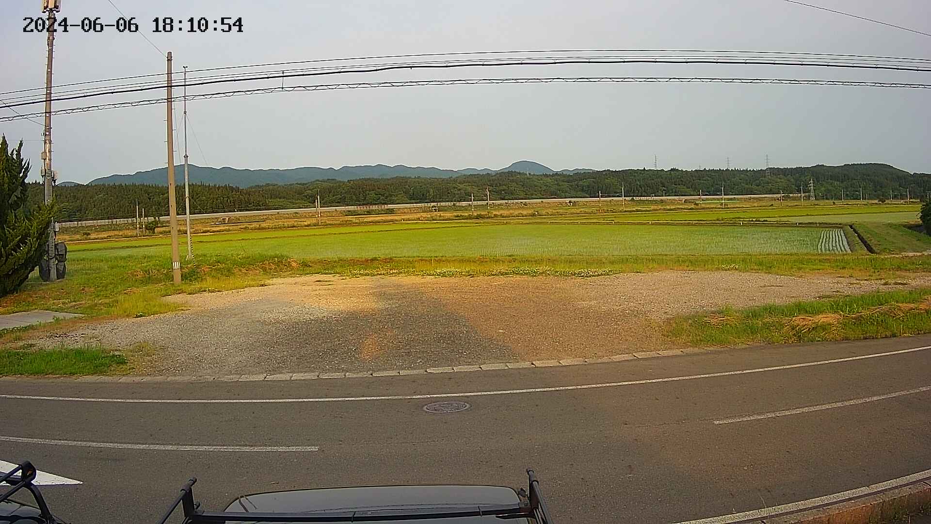 yotec5-20240606181055.jpg
