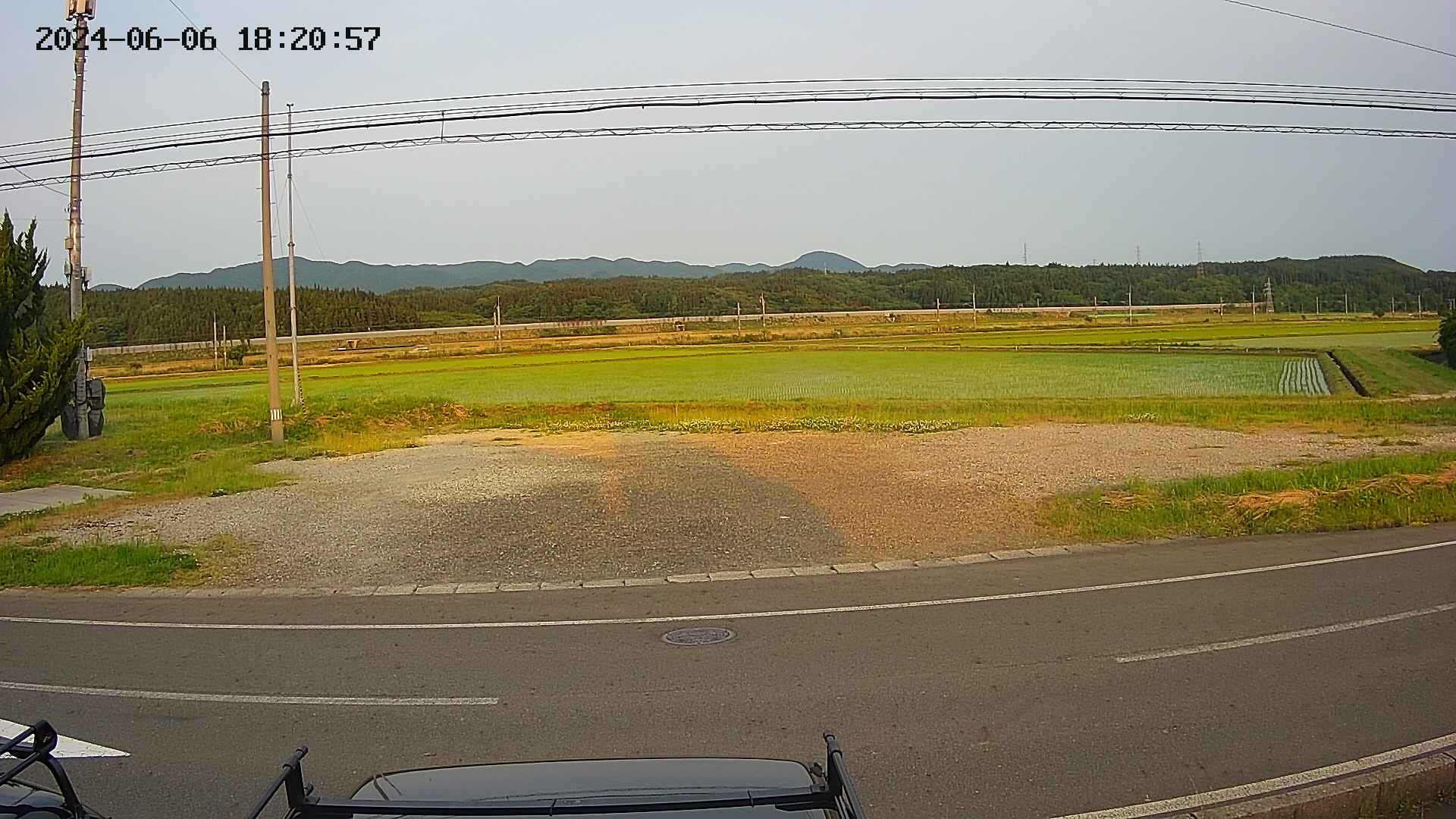 yotec5-20240606182057.jpg