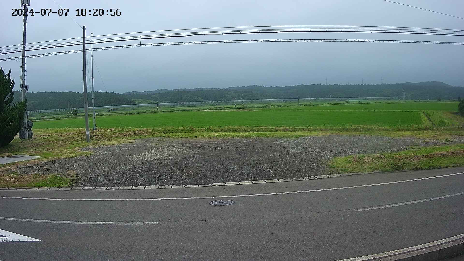 yotec5-20240707182057.jpg