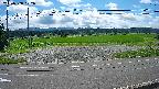 yotec5-20240808102057.jpg