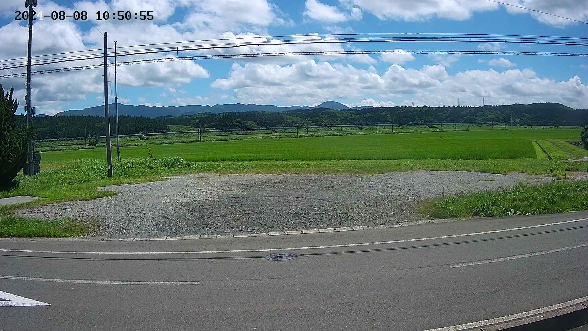 yotec5-20240808105056.jpg