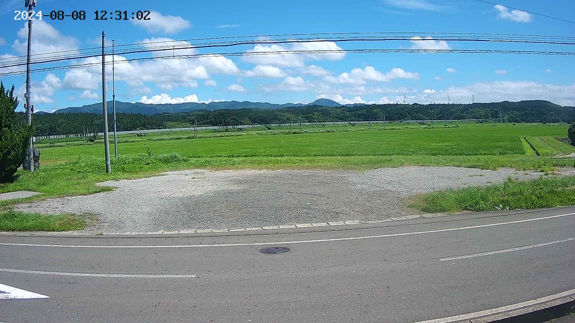 yotec5-20240808123103.jpg