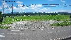 yotec5-20240808123103.jpg