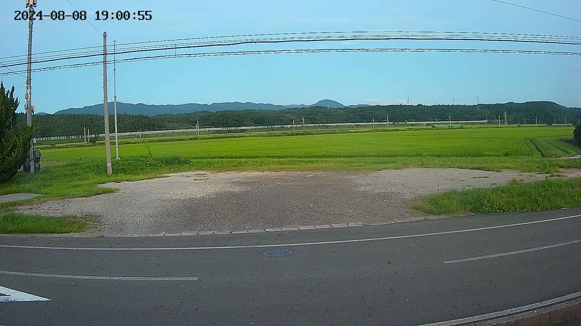 yotec5-20240808190056.jpg