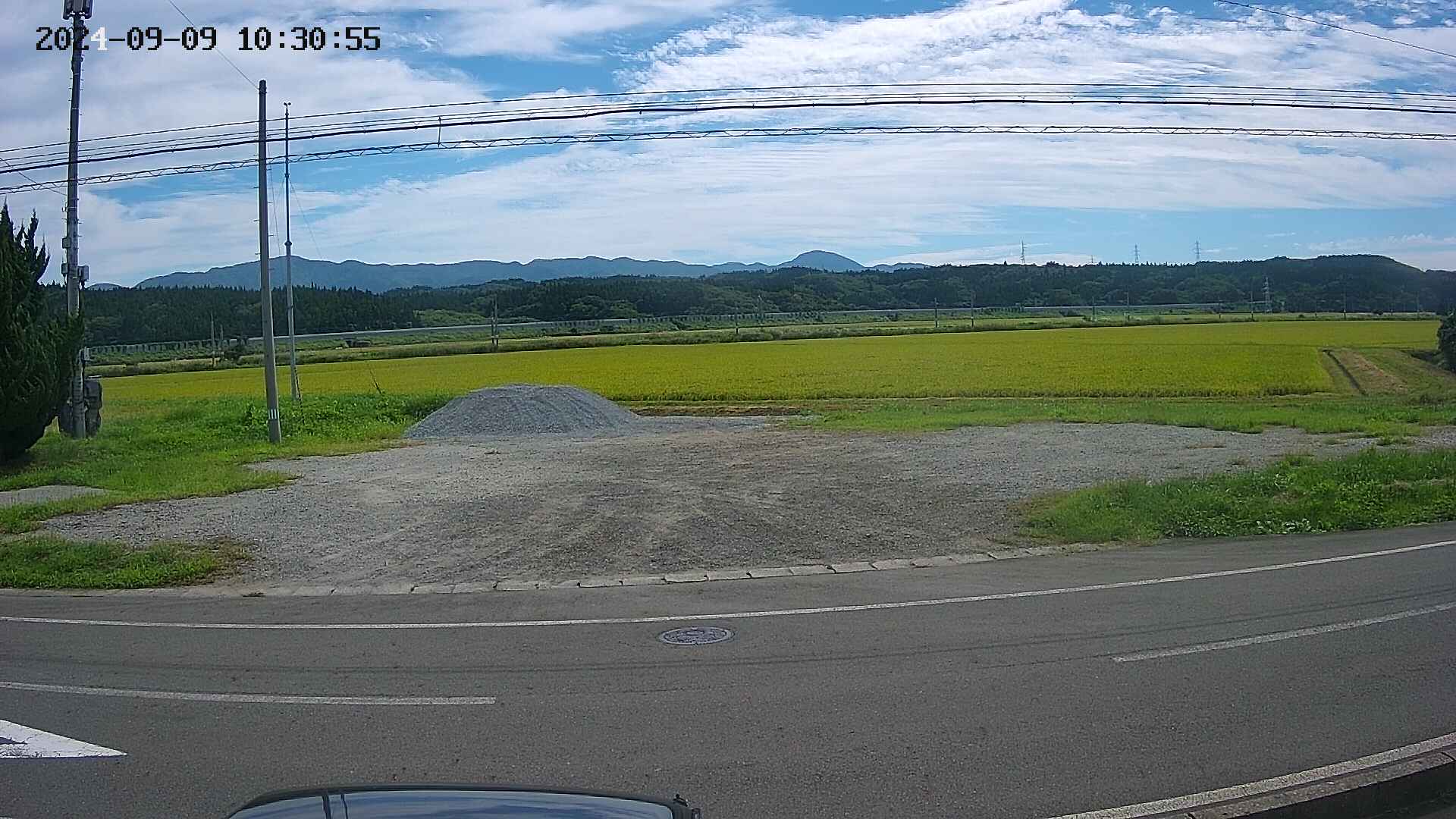yotec5-20240909103055.jpg