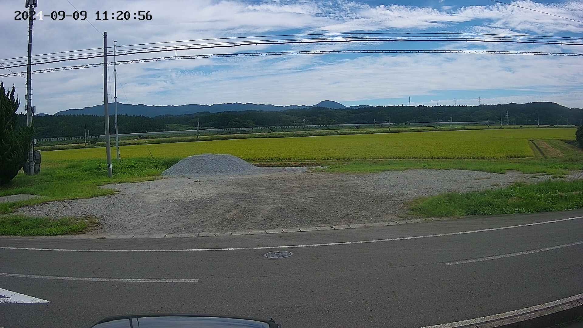 yotec5-20240909112056.jpg