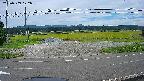 yotec5-20240909122058.jpg