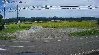 yotec5-20240909134058.jpg