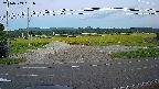 yotec5-20240909181055.jpg