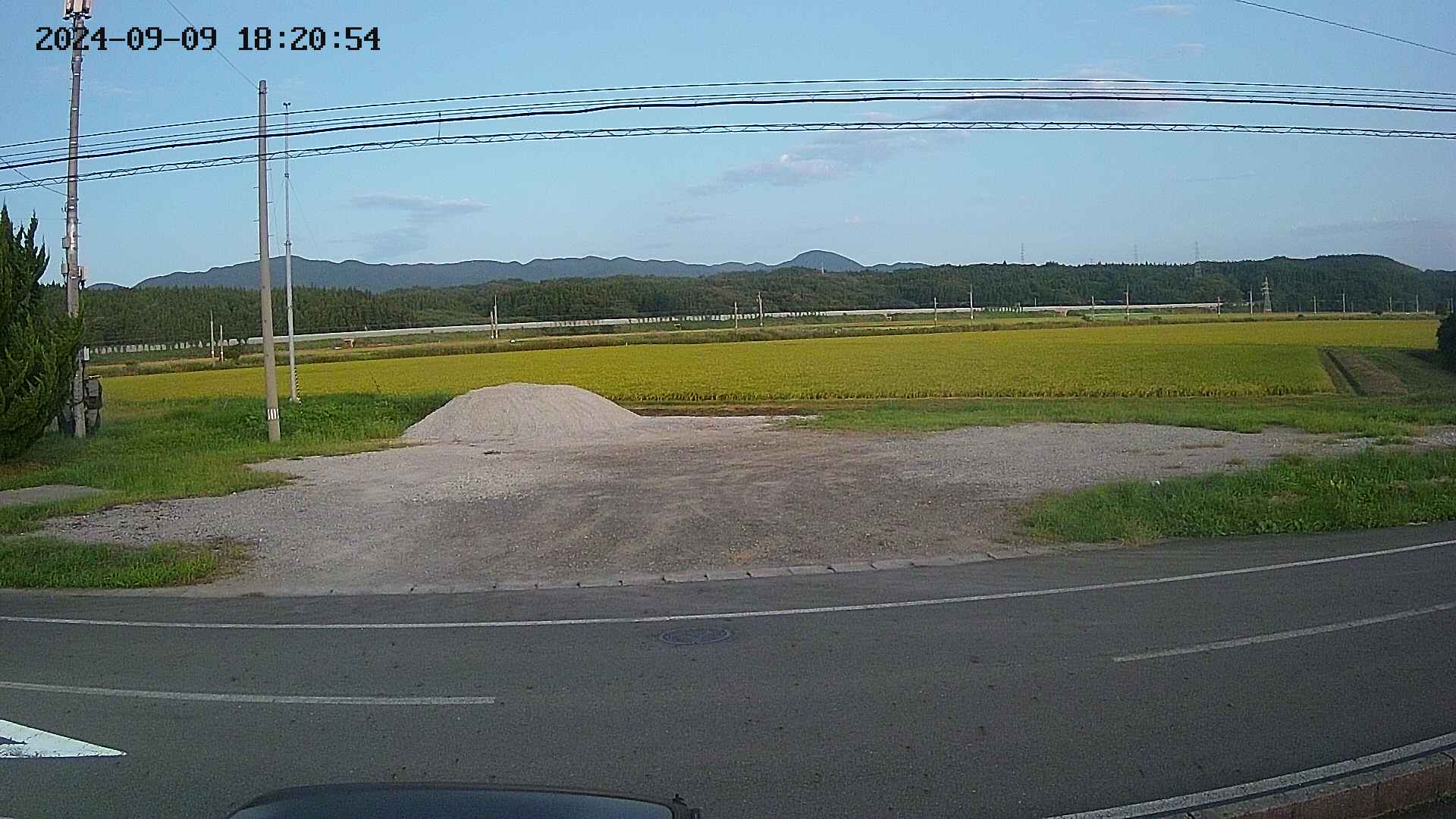 yotec5-20240909182054.jpg