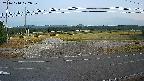 yotec5-20241010172058.jpg