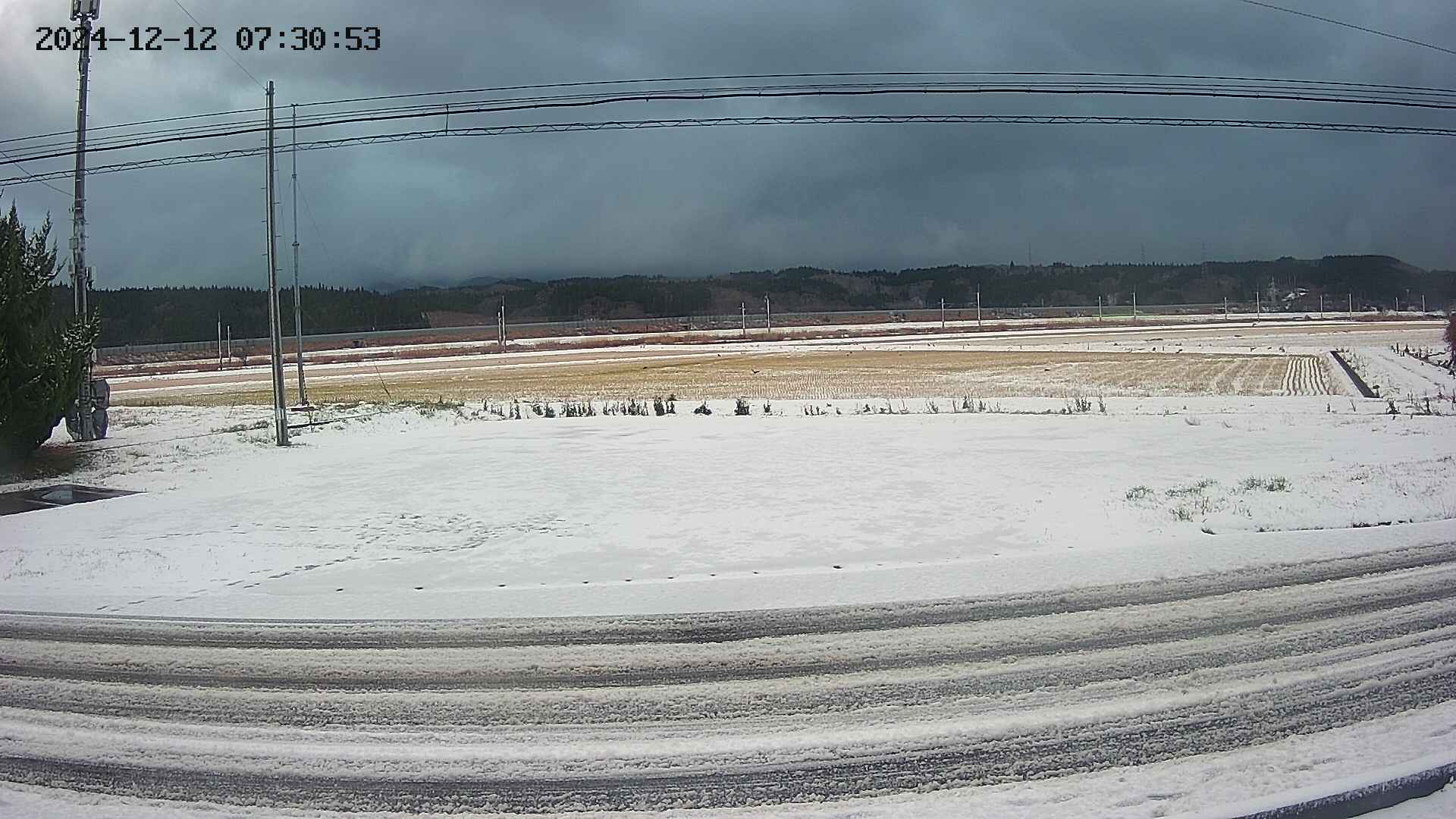 yotec5-20241212073054.jpg