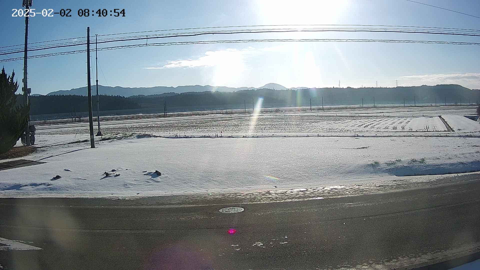 yotec5-20250202084055.jpg