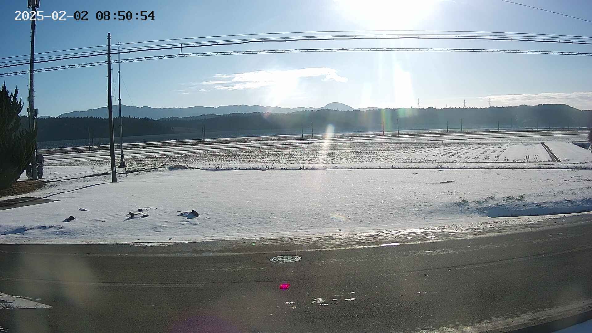 yotec5-20250202085056.jpg
