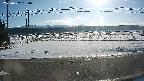 yotec5-20250202090058.jpg