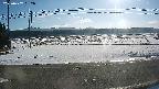 yotec5-20250202092059.jpg