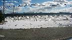 yotec5-20250202105055.jpg