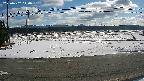 yotec5-20250202110056.jpg