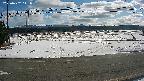 yotec5-20250202111057.jpg