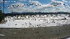 yotec5-20250202115058.jpg