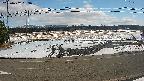 yotec5-20250202133056.jpg