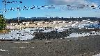 yotec5-20250202153056.jpg
