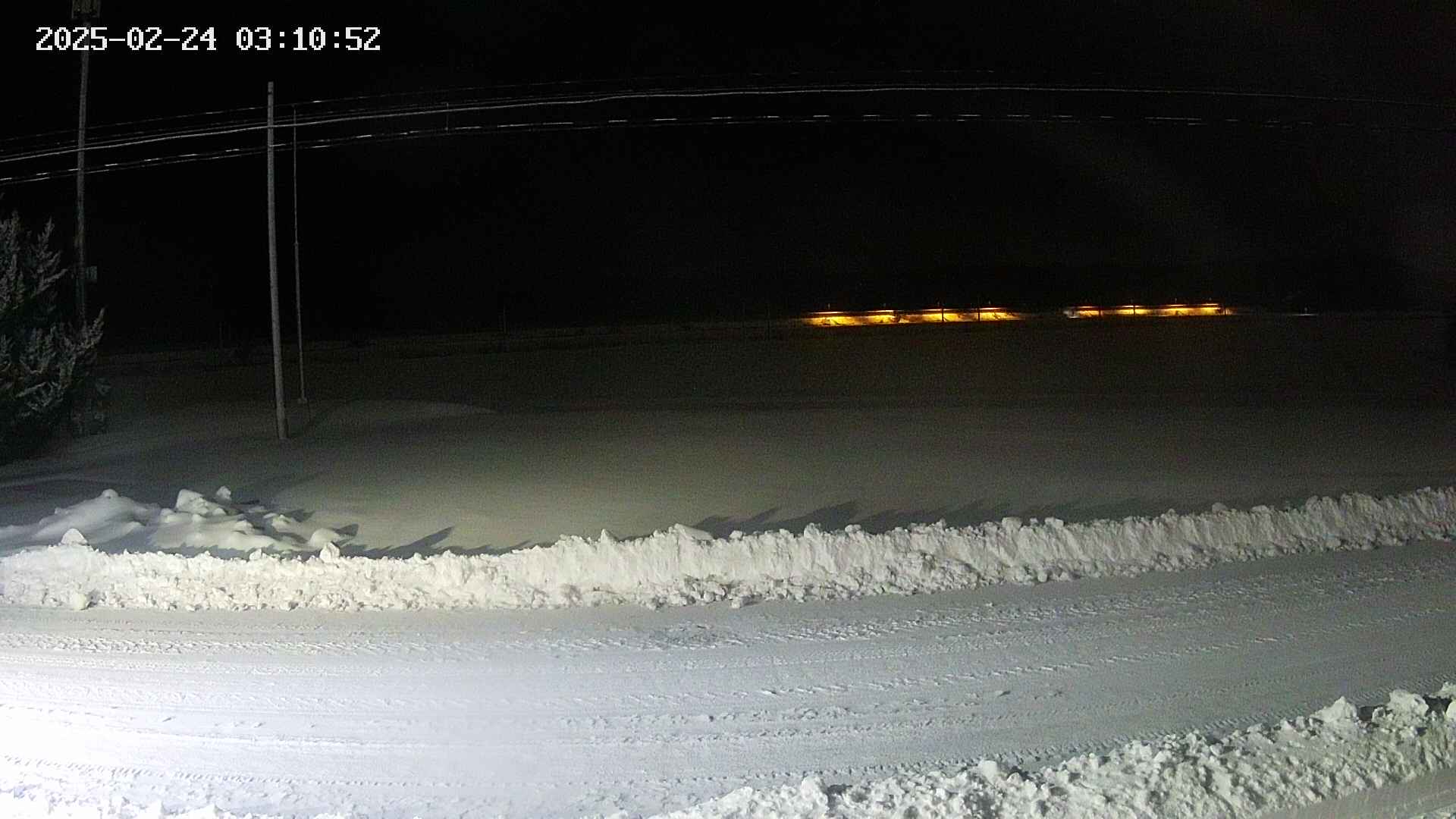 yotec5-20250224031053.jpg