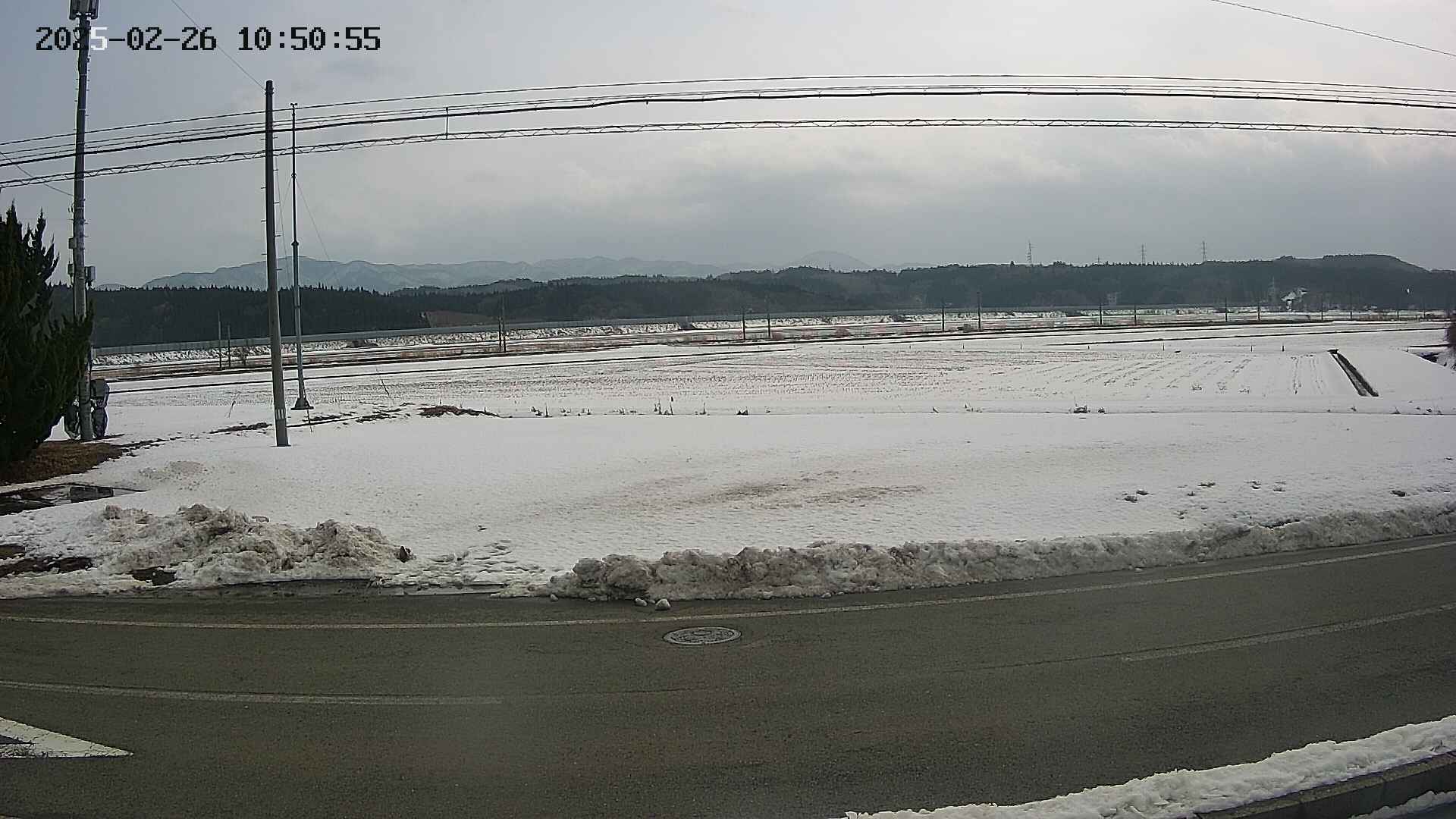 yotec5-20250226105057.jpg