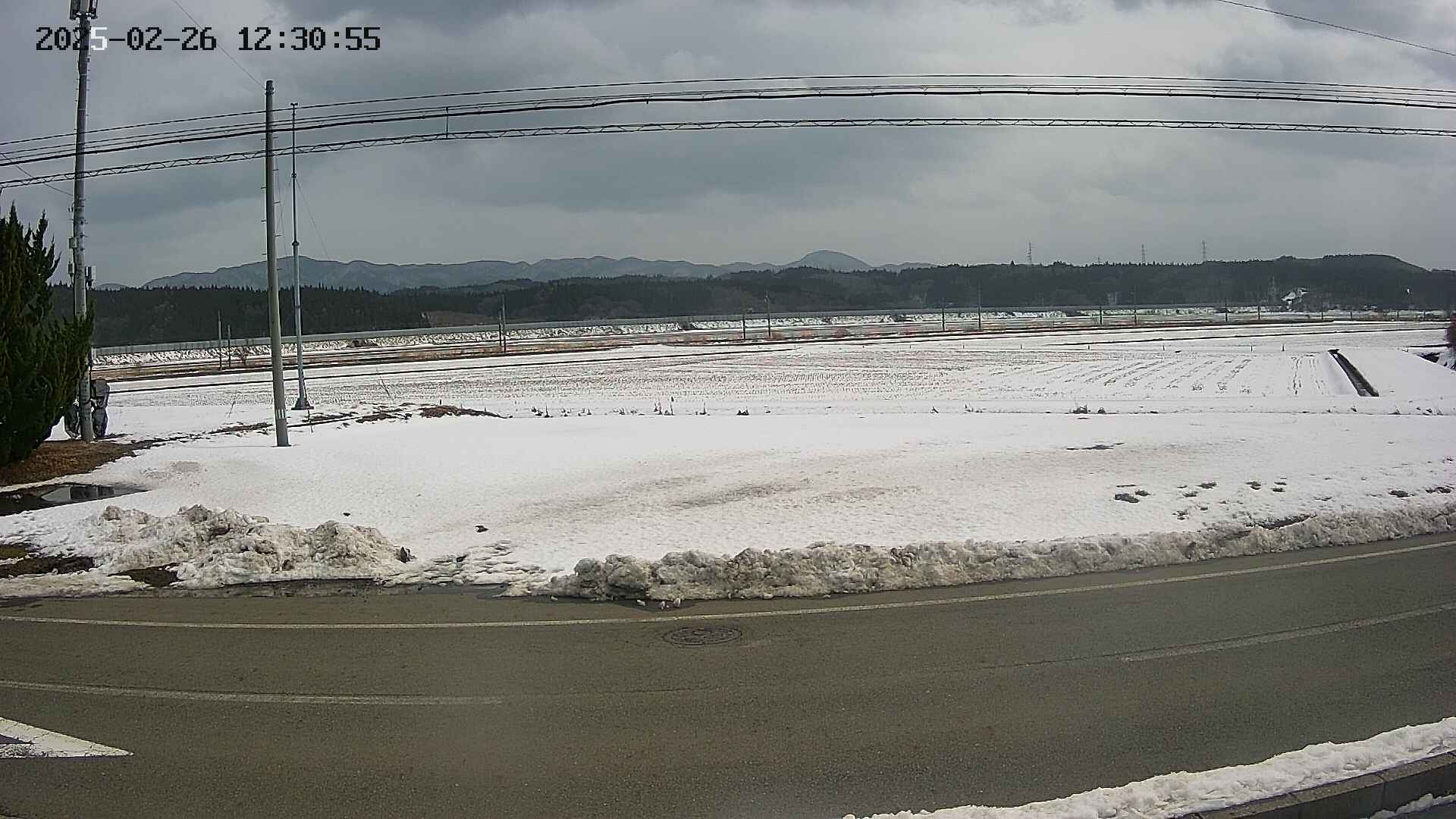 yotec5-20250226123056.jpg
