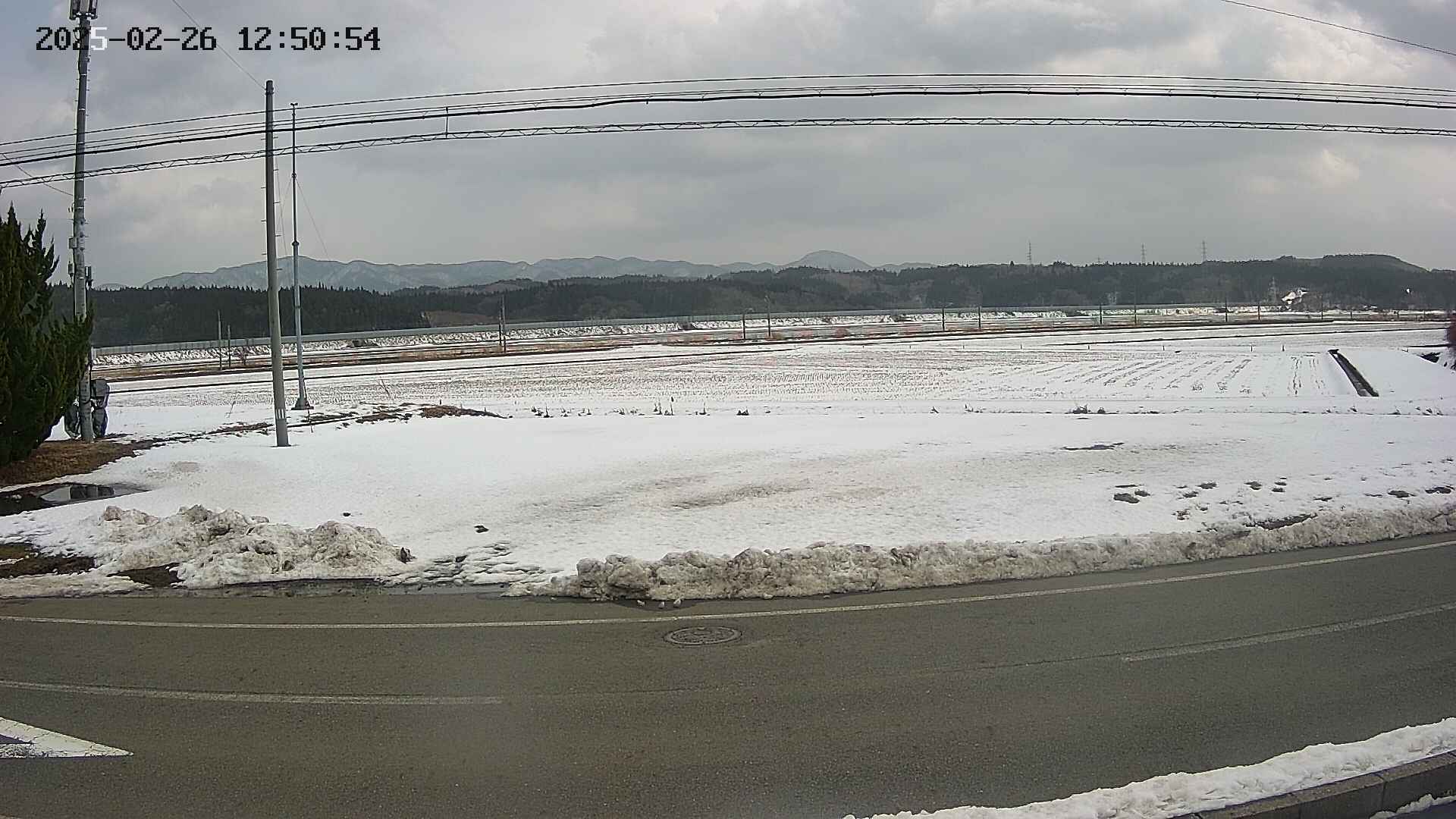 yotec5-20250226125056.jpg