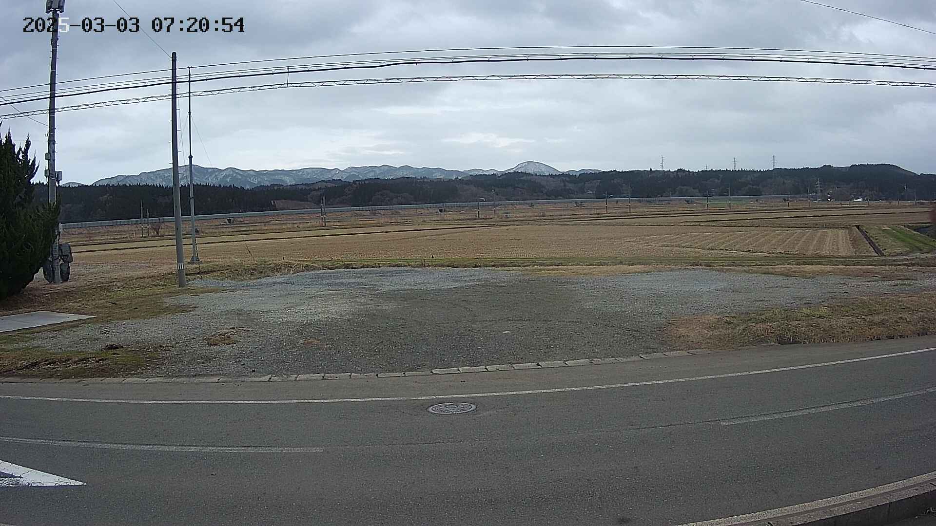 yotec5-20250303072055.jpg