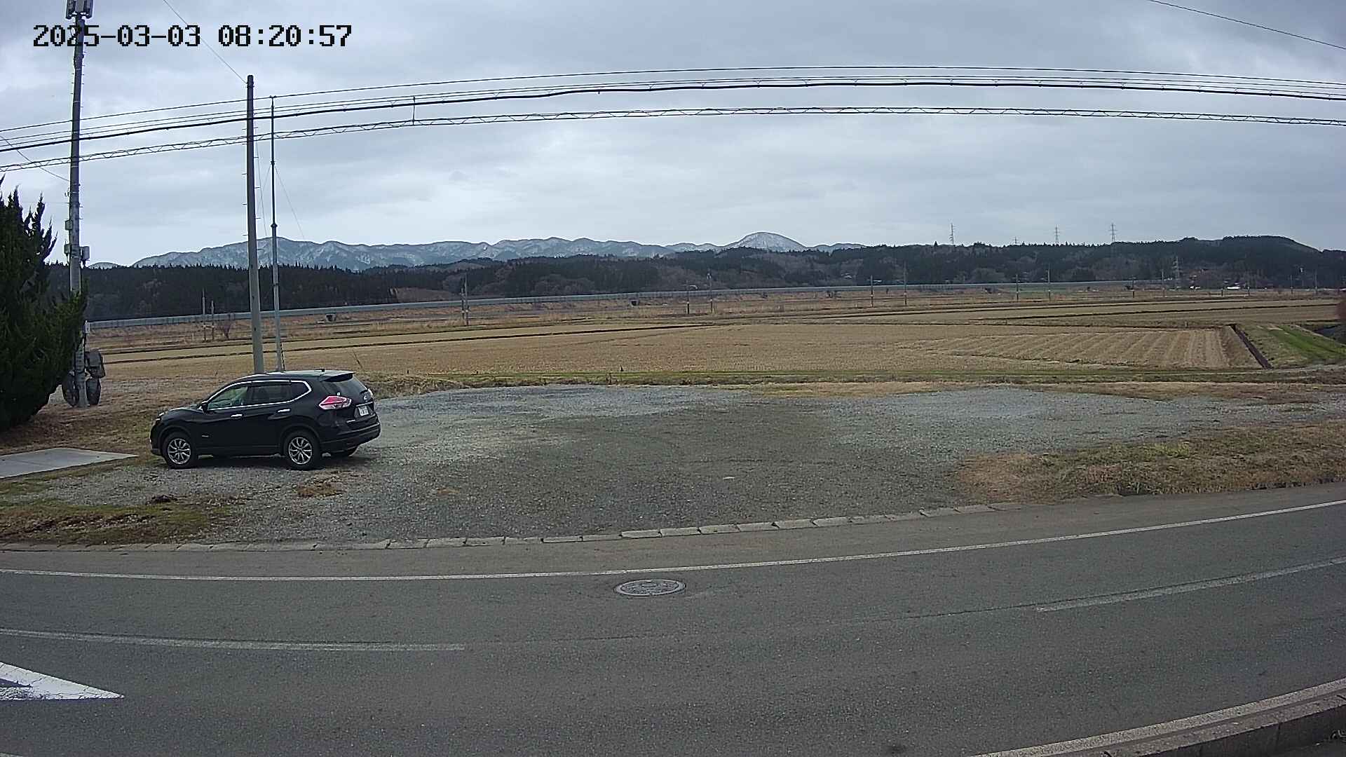 yotec5-20250303082058.jpg