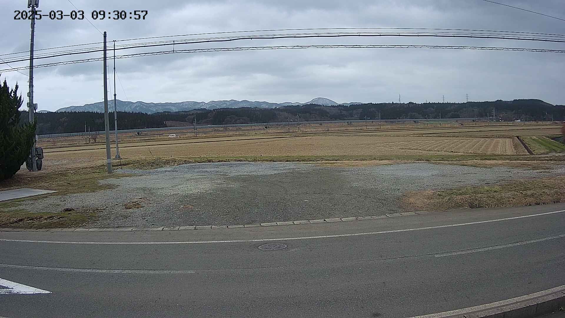 yotec5-20250303093058.jpg