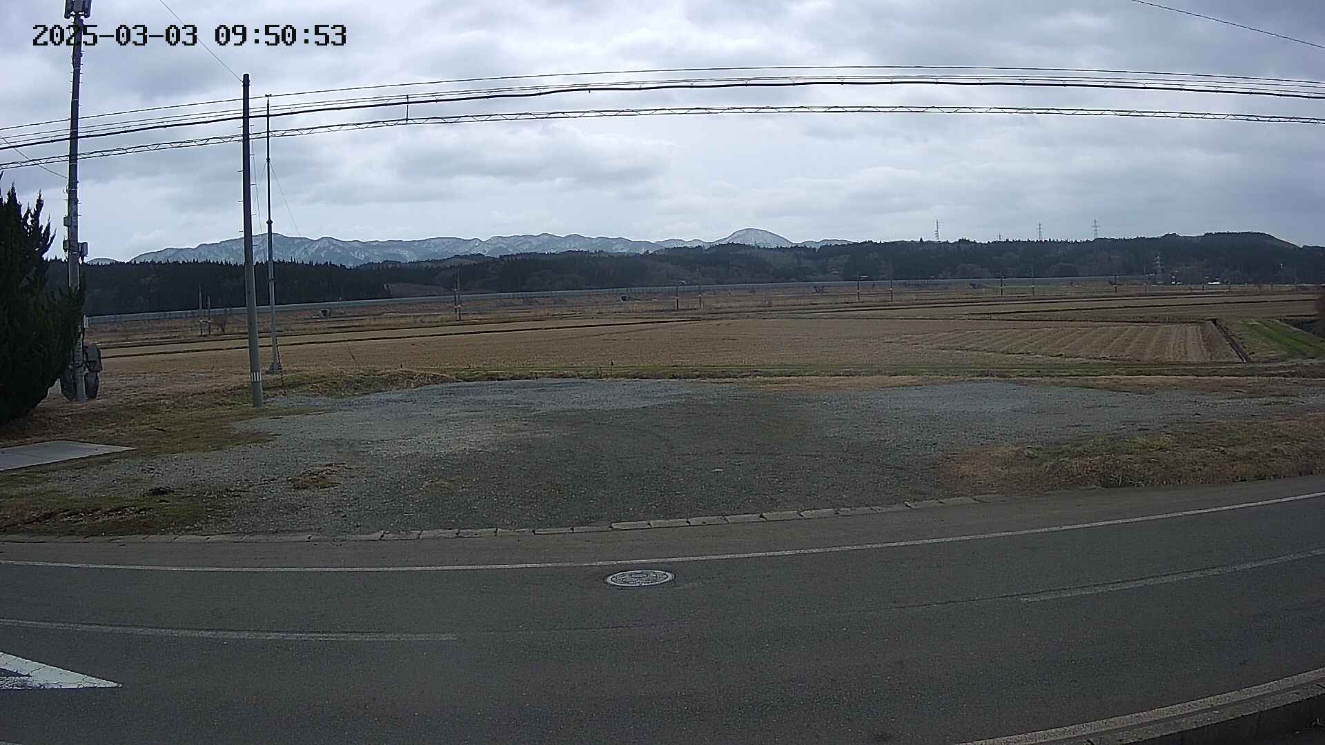 yotec5-20250303095054.jpg