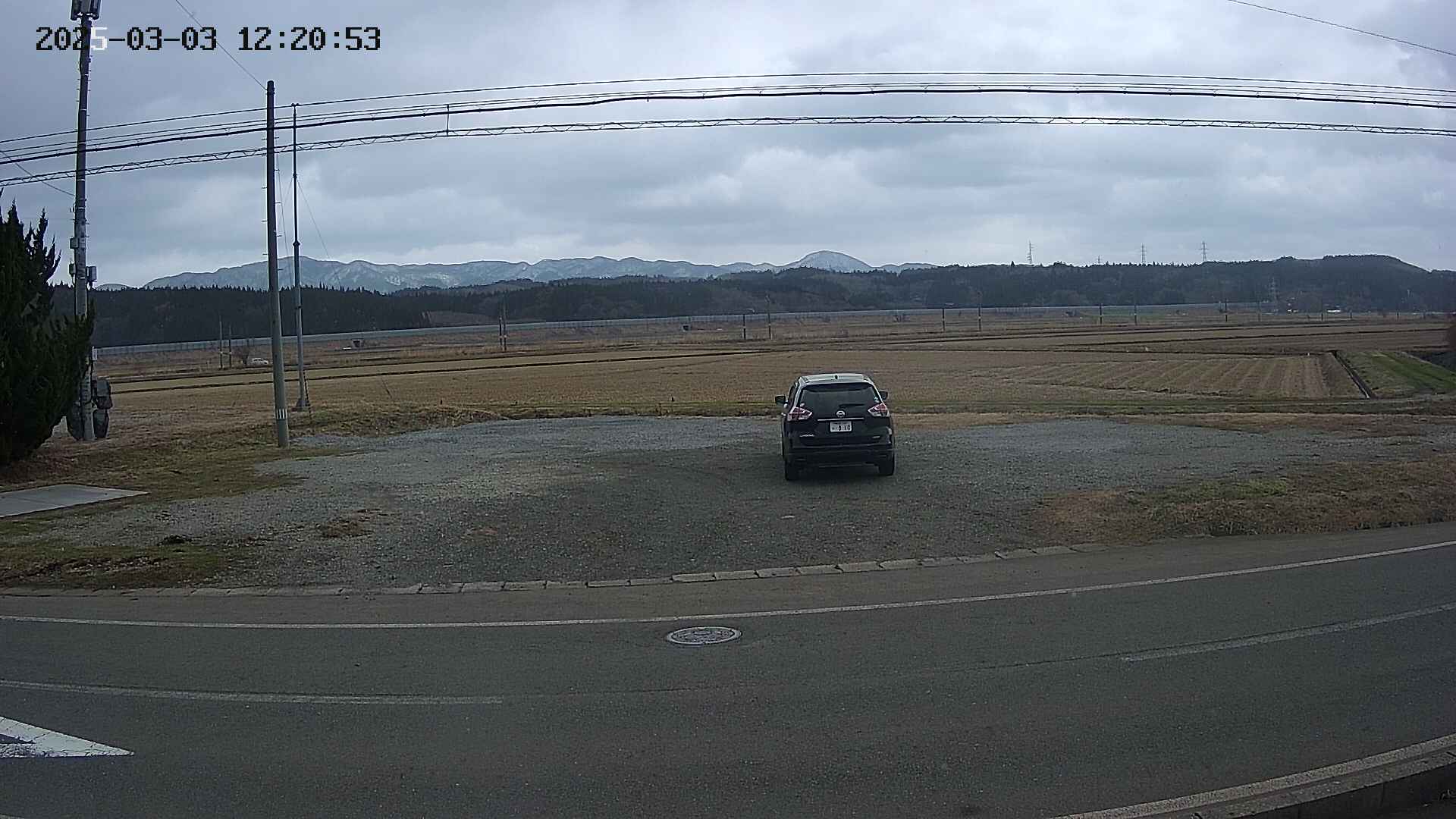 yotec5-20250303122054.jpg