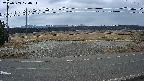yotec5-20250303124055.jpg