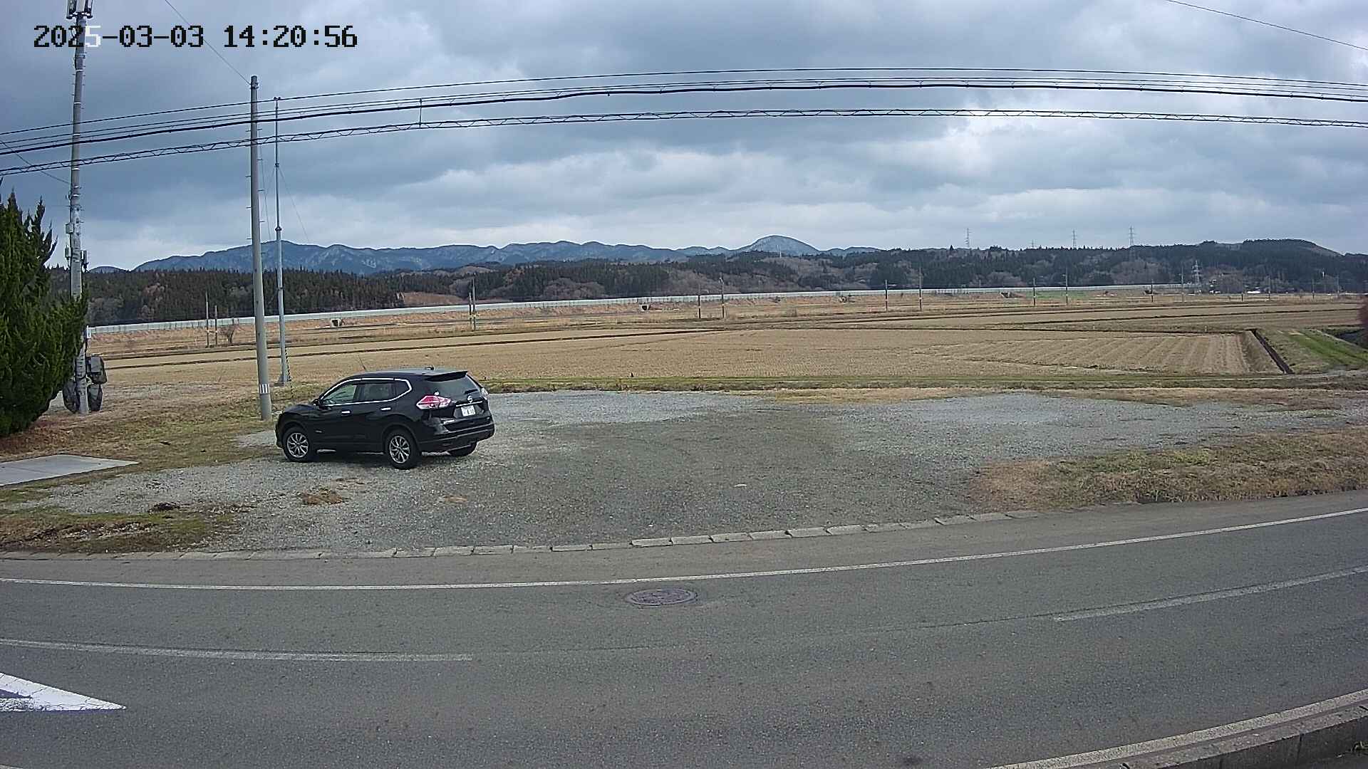yotec5-20250303142057.jpg