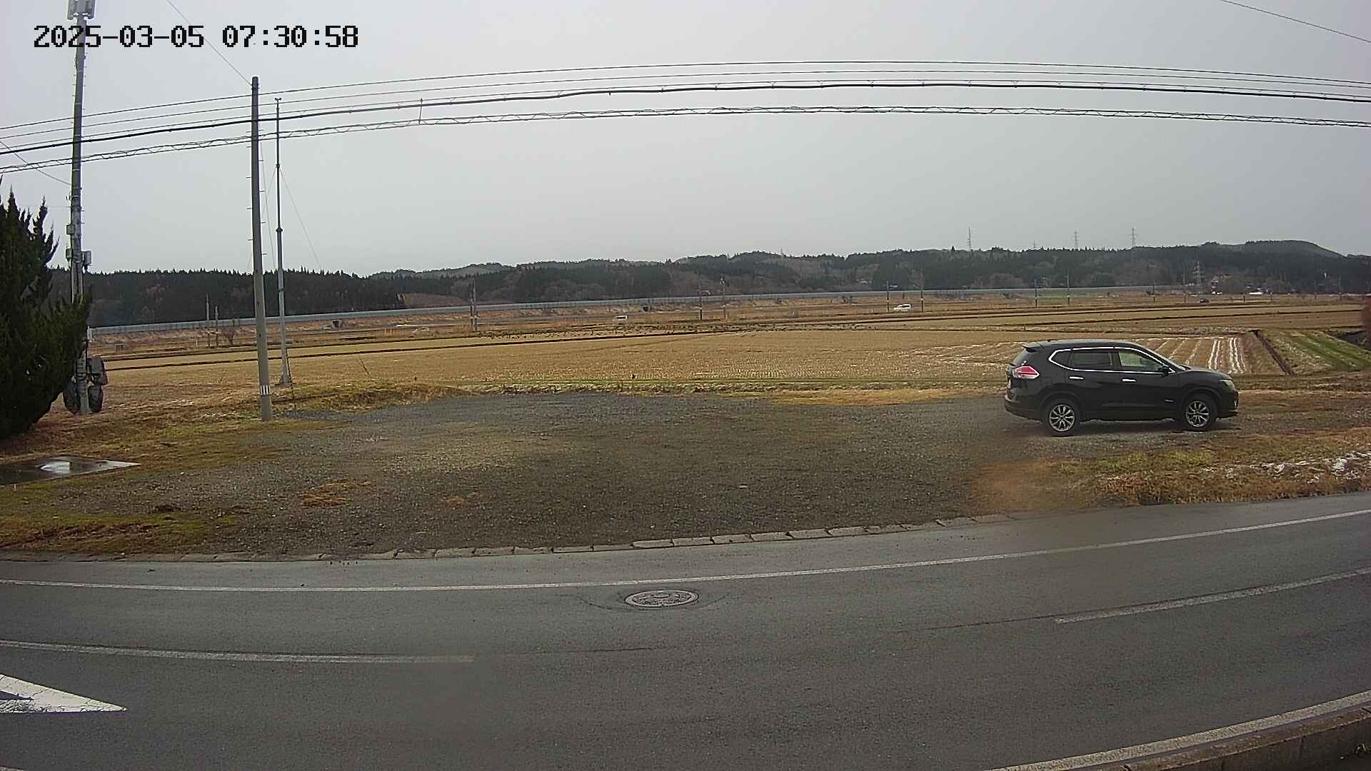 yotec5-20250305073059.jpg