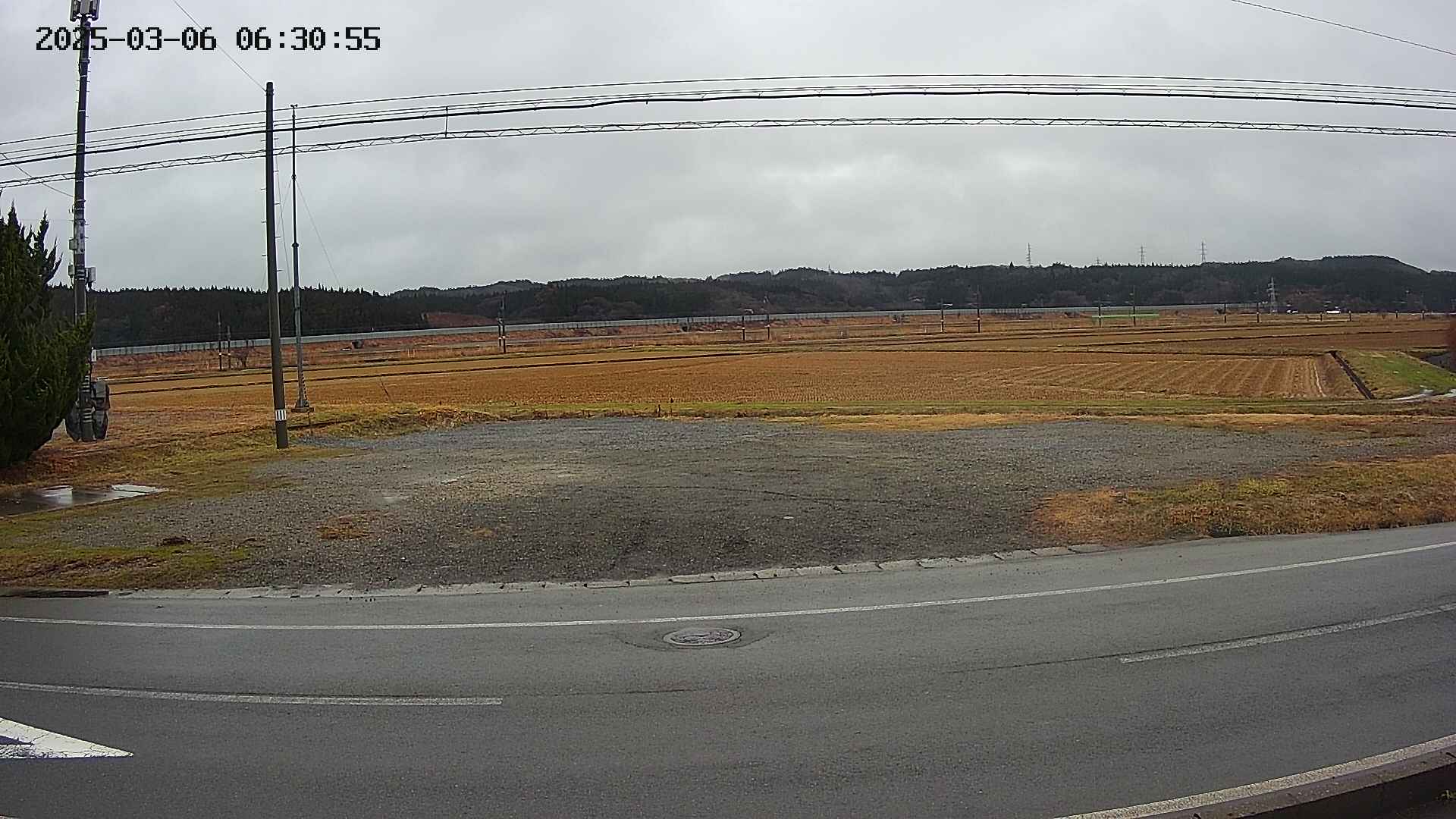 yotec5-20250306063056.jpg