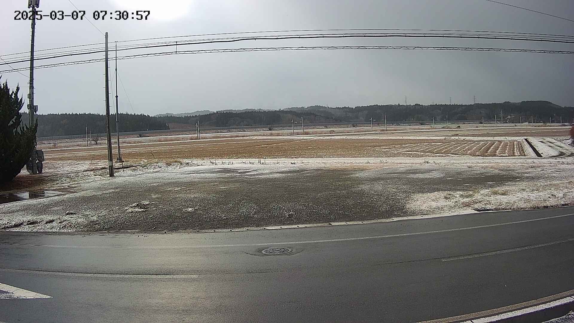 yotec5-20250307073058.jpg