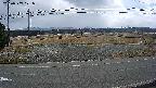yotec5-20250307121056.jpg