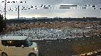 yotec5-20250308055055.jpg