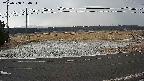 yotec5-20250308064056.jpg