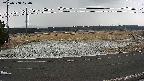 yotec5-20250308070054.jpg