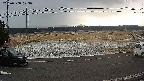 yotec5-20250308073055.jpg
