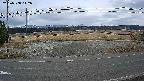 yotec5-20250308142056.jpg