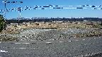 yotec5-20250310135056.jpg